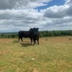 Robert Bourne - @robertbourne4 - Instagram