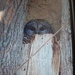 Robert Bourque - @bourque_chantal - Instagram