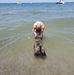 Robert Bowersock - Facebook
