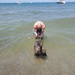 Robert Bowersock - @bob_by_association - Instagram