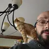 robertbowersock - @robertbowersock - TikTok