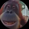 Rob the Bob - @robertbowles3 - TikTok