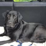 Robert Bowles - @robbowles1947 - Instagram