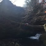 Robert Bowman - @robert.bowman.140 - Instagram