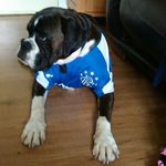 Robert Boyce - @robertboyce8032 - Instagram