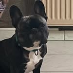 Robert Boyer - @robertboyer43 - Instagram