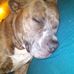 Robert Boyer - Facebook