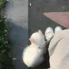 Robert Boyle - @robert.boyle3 - TikTok