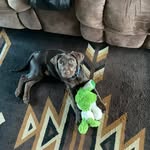 Robert Bragg - @bragg900 - Instagram