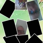 Robert Brass - @robert.brass.1806 - Instagram