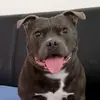 RobertBratz - @robertbratz - TikTok