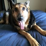 Robert Bray - @robertbray5 - Instagram