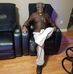 Robert Bray - Facebook