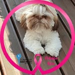 Roberte Brevard - @robertebrevard - Instagram