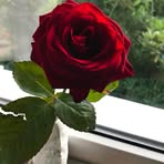 Robert Brian - Facebook