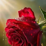 Robert Brian - Facebook