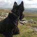 Robert Brierley - Facebook