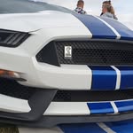 Robert james brierley - @robertbrierley36 - Instagram