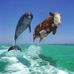 Robert Brigden - Facebook