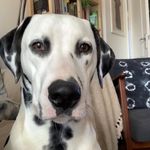 Robert Briggs - @robert.briggs - Instagram