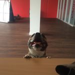 Robert Briggs - @briggs9802 - Instagram