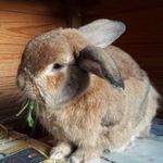 Robert Bright - @robertbright1 - Instagram