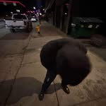 FoeFive Thegoat - @robert.brim.94 - Instagram