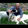 Robert Brinkerhoff - @cowboyup067 - TikTok