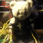 Robert Britton - @jackjack.bear - Instagram