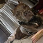 Robert Britton - @robert.britton.1253 - Instagram