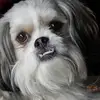 robertbritton3 - @robertbritton3 - TikTok