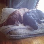 Robert Brock - @beatbrox - Instagram