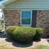 Robert Brock - @robert.brock8 - TikTok