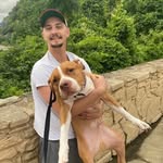 Robert Bromund - @harambes_disciples - Instagram