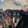 Robert Brooker - @robert.brooker46 - TikTok
