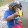 robertbroughman80 - @robertbroughman80 - TikTok