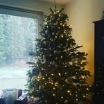 Roberto Brougham - @robertobrougham - Instagram