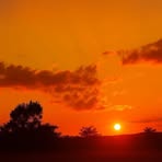 Robert Brown - Facebook