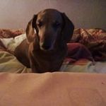 Robert Brozek - @robert.brozek.94 - Instagram