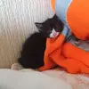 Robert Bruce - @robert.bruce43 - TikTok