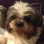 Robert Bruce - @robert._bruce - Instagram