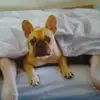 Robert Brunner - @robertbrunner57 - TikTok