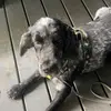 stevenrobertbruns - @stevenrobertbruns - TikTok