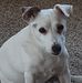 Robert Bryner - Facebook