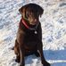 Robert Bryson - Facebook