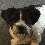 Robert Buchanan - @robertbuchanan64 - Instagram