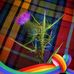 Robert Buchanan - Facebook