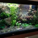 Robert Bugeja - @robertbugeja - Instagram
