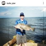 Robert Bullis - @robert.bullis.3 - Instagram