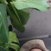 Robert Gray Burbridge - Facebook
